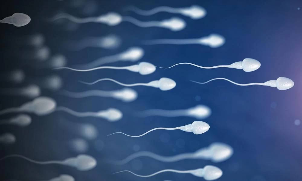 Αμερικανο-κινεζική έρευνα: Μεταδίδεται ο κορονοϊός με το σπέρμα;